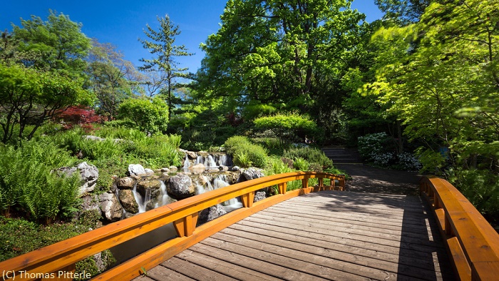 Japanischer Garten  Setagayapark Японские сады в самом сердце Вены