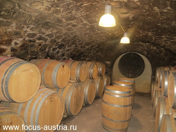 vino avstia 10 Виноделие в Австрии
