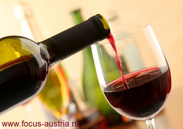 vino avstia 13 Виноделие в Австрии